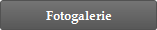 Fotogalerie