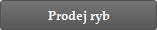 Prodej ryb